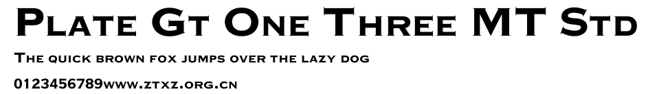 Plate Gt One Three MT Std.ttf