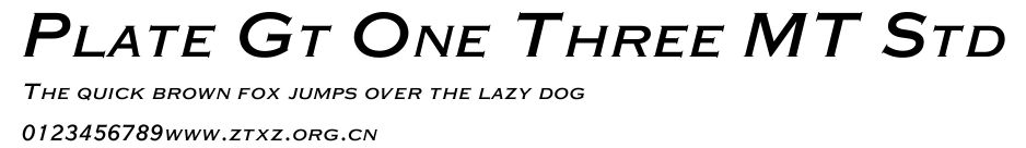 Plate Gt One Three MT Std.ttf