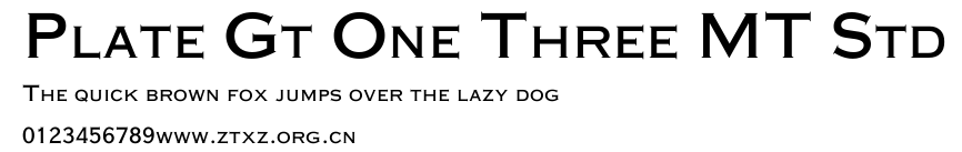 Plate Gt One Three MT Std.ttf