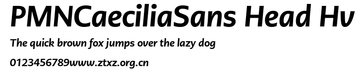 PMNCaeciliaSans Head Hv.ttf