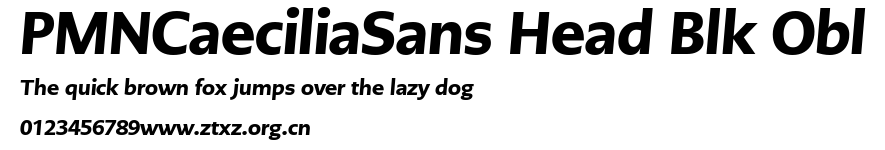 PMNCaeciliaSans Head Blk Obl.ttf