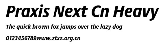 Praxis Next Cn Heavy.ttf