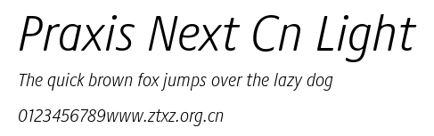 Praxis Next Cn Light.ttf