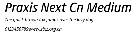 Praxis Next Cn Medium.ttf
