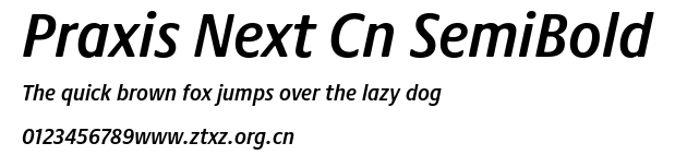 Praxis Next Cn SemiBold.ttf