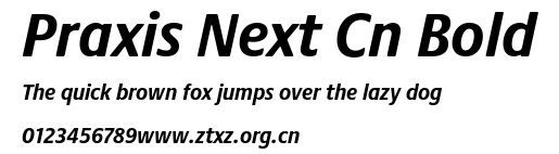 Praxis Next Cn Bold.ttf