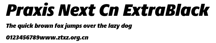 Praxis Next Cn ExtraBlack.ttf