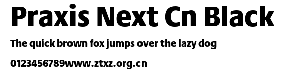 Praxis Next Cn Black.ttf