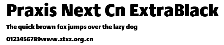 Praxis Next Cn ExtraBlack.ttf