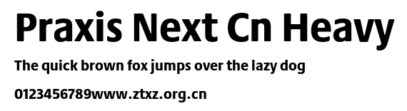 Praxis Next Cn Heavy.ttf