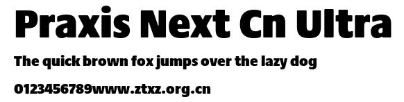Praxis Next Cn Ultra.ttf