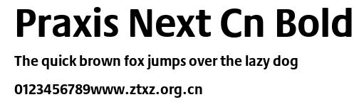 Praxis Next Cn Bold.ttf