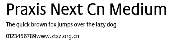 Praxis Next Cn Medium.ttf