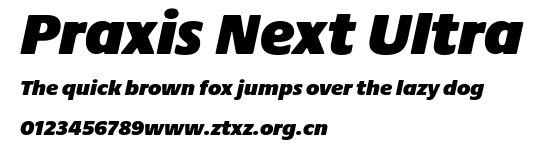 Praxis Next Ultra.ttf