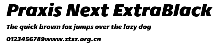 Praxis Next ExtraBlack.ttf