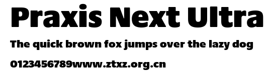 Praxis Next Ultra.ttf