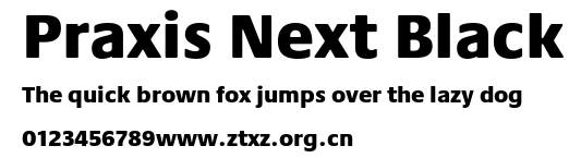 Praxis Next Black.ttf
