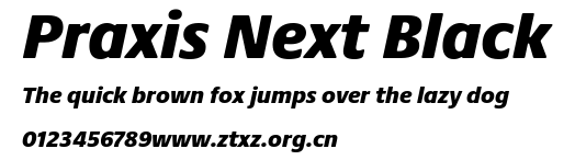 Praxis Next Black.ttf