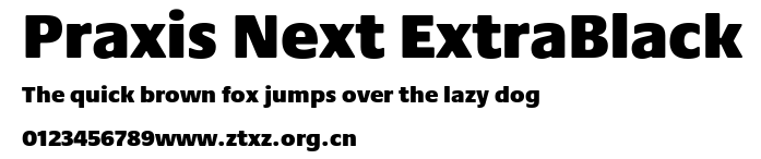 Praxis Next ExtraBlack.ttf
