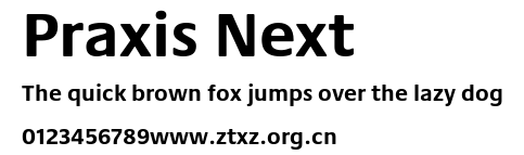 Praxis Next.ttf