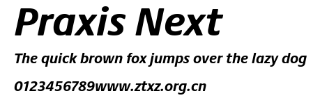 Praxis Next.ttf