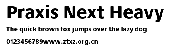 Praxis Next Heavy.ttf