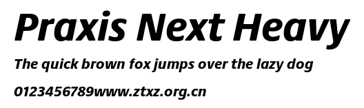 Praxis Next Heavy.ttf
