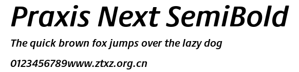 Praxis Next SemiBold.ttf