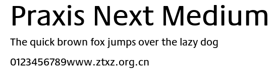 Praxis Next Medium.ttf