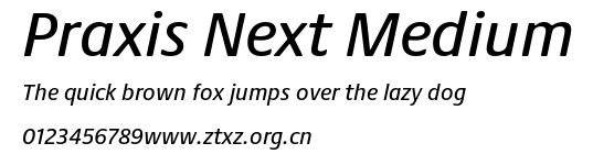Praxis Next Medium.ttf