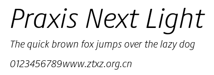 Praxis Next Light.ttf