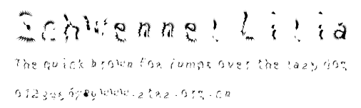 Schwennel Lilia.ttf