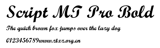 Script MT Pro Bold.ttf