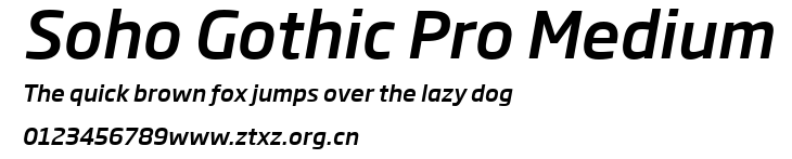 Soho Gothic Pro Medium.ttf