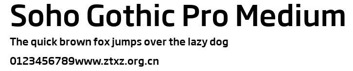 Soho Gothic Pro Medium.ttf