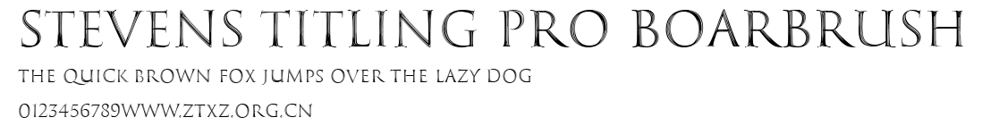 Stevens Titling Pro BoarBrush.ttf