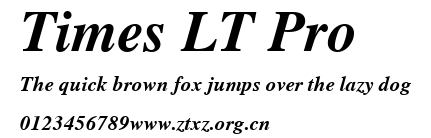 Times LT Pro.ttf