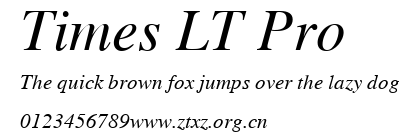 Times LT Pro.ttf