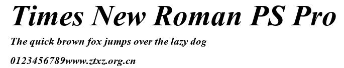 Times New Roman PS Pro.ttf