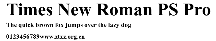 Times New Roman PS Pro.ttf