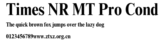 Times NR MT Pro Cond.ttf