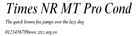 Times NR MT Pro Cond.ttf