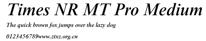 Times NR MT Pro Medium.ttf
