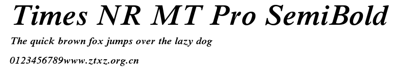 Times NR MT Pro SemiBold.ttf