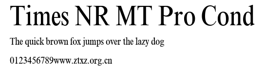 Times NR MT Pro Cond.ttf