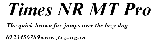 Times NR MT Pro.ttf