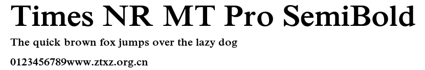 Times NR MT Pro SemiBold.ttf