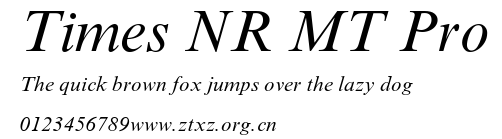 Times NR MT Pro.ttf