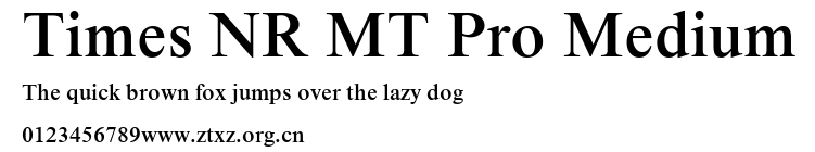 Times NR MT Pro Medium.ttf