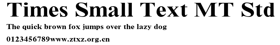 Times Small Text MT Std.ttf